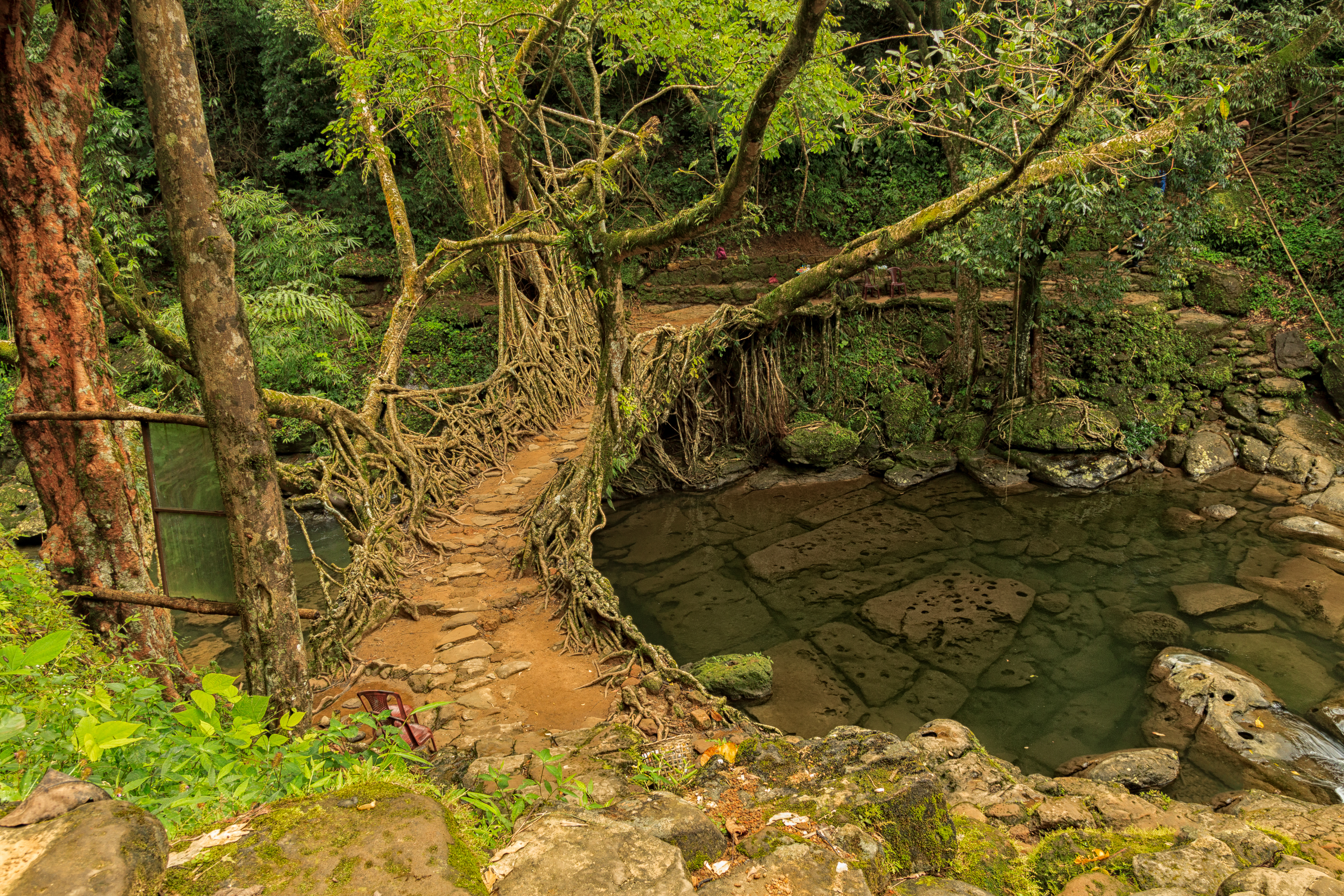 Tourist Spot In Meghalaya  Tourist Place In North India  ഉത്തരേന്ത്യന്‍ ടൂറിസം  New Year Trip To North India