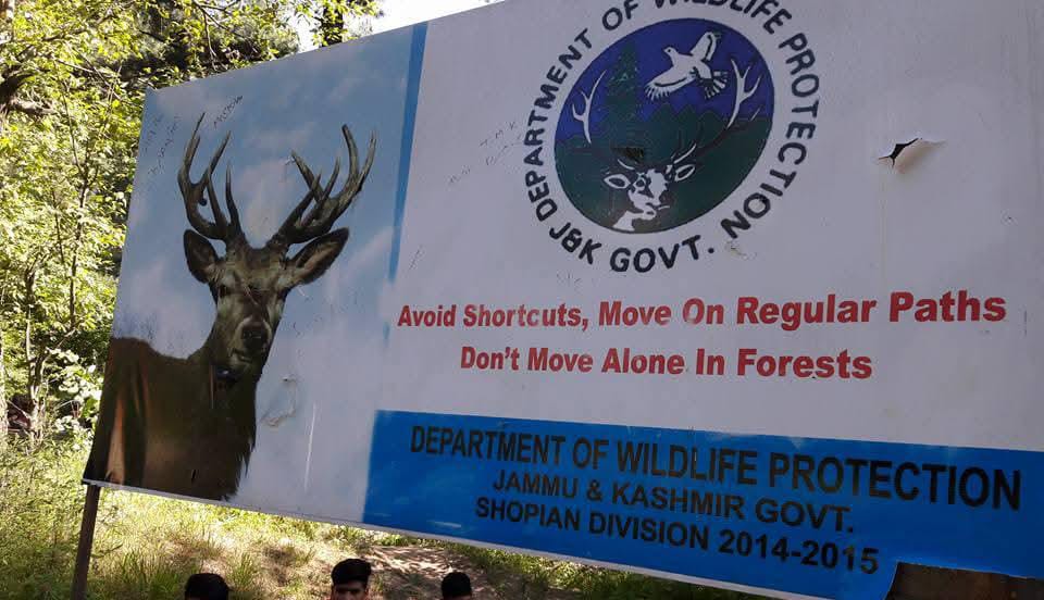 A view of Tral wildlife sanctuary in south Kashmir's Pulwama