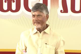 CM_Chandrababu_Comments