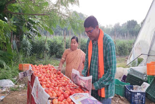 Of Chillies And Tomatoes: How Kalahandi Farmers Script A Green Revolution