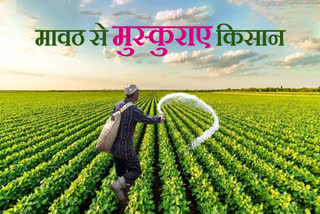 SAGAR RABI CROPS