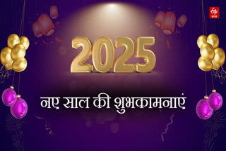 Happy New Year 2025 wishes images shayari quotes message facebook instagram and whatsapp status in Hindi