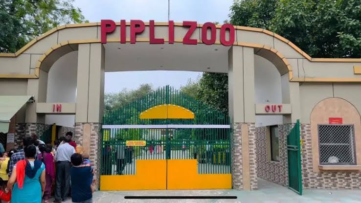 Pipli Zoo