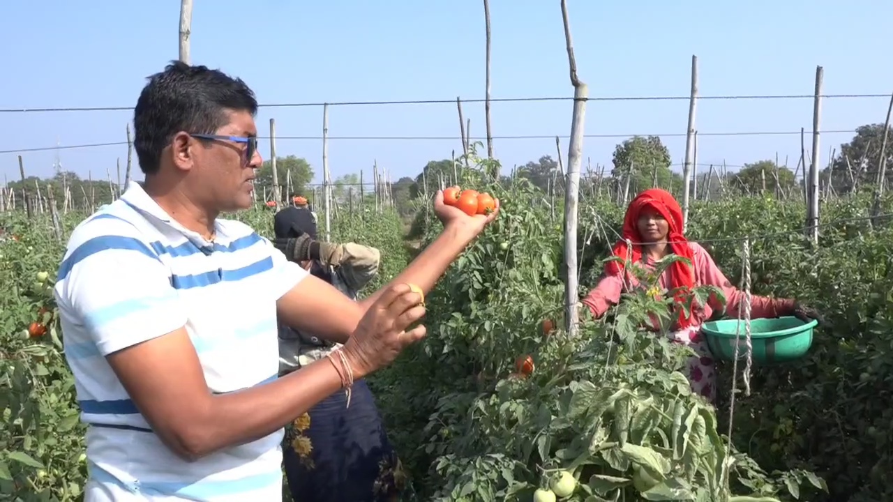 Kalahandi Young Farmer Krushna Chandra Nag