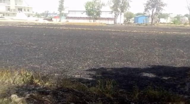 fire in wheat crop