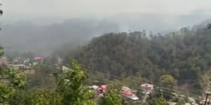 fire in the forest of solan