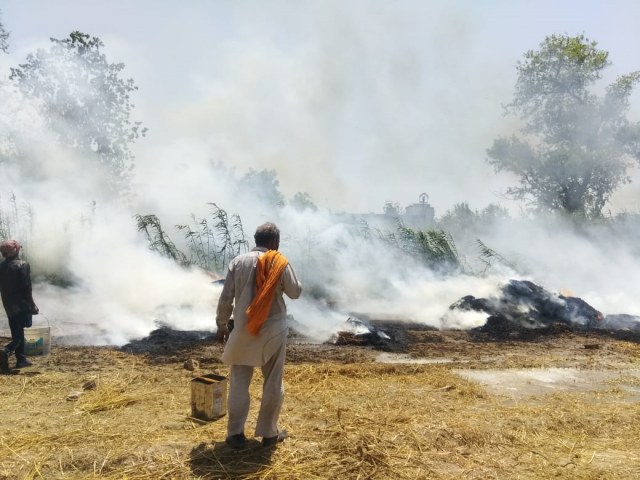 थ्रेसिंग के लिए रखी गेहूं की फसल में लगी आग