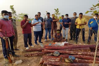 Task force seized 15 red sandalwood logs