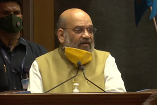 World witnessing India's successful battle against COVID-19: Amit Shah