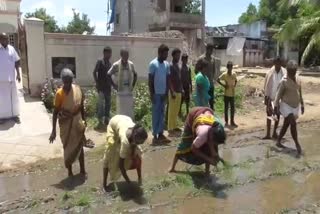 vellore VILLAGERS STAGE PADDY PLANTING PROTEST for canal facilities