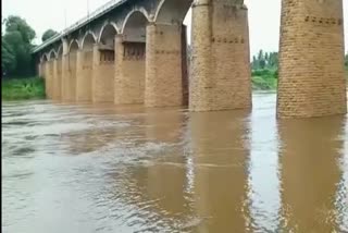 Krishna and warana river water level