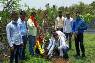Sub-divisional Youth Sahu Samaj done plantation