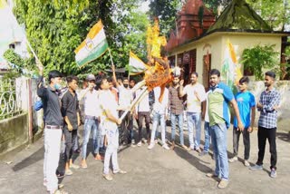 youth congressmen burnt effigy of chief minister