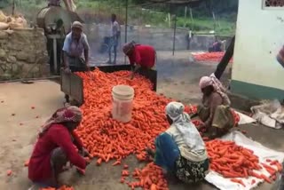 Kodaikanal farmers