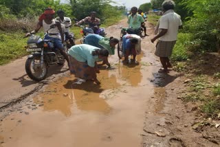 சேறும் சகதியுமான சாலையில் நாற்று நடவு செய்து பெண்கள் போராட்டம் !