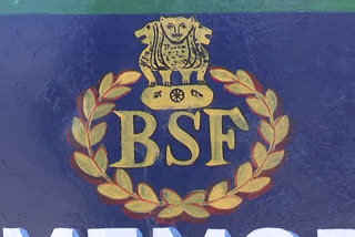 BSF