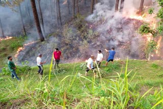 Kuthahi forest Fire