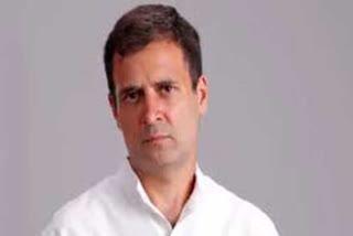 govts-well-planned-fight-against-covid-has-put-india-in-abyss-of-gdp-reduction-rahul