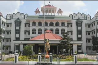 petition of the old man came up for hearing in the Madurai branch of the High Court