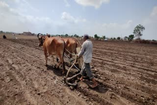 રાજકોટ