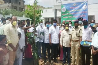 World environment day celebration