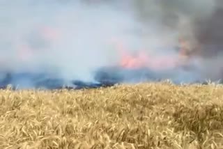 Fire in Kamariyanv village
