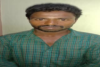 dispute between the couple, wife killed by husband in vellore  