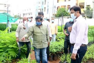 medak collector harish and muncipal commisioner srihari visites medak Nurseries