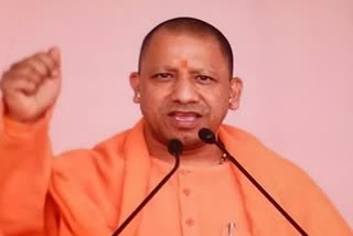 cm yogi 