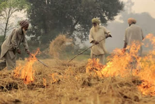 নাড়া পোড়ানো, stubble burning