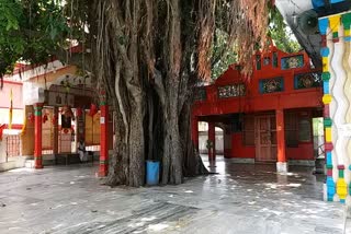 door of temples closed 