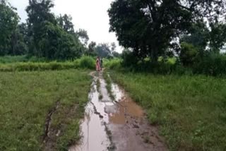 Sick woman died due to lack of road in chatra