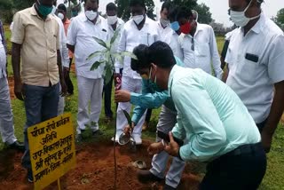 podha Ropo Week Programme' started in Latehar