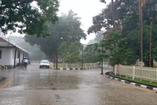 Rain in chikkamagaluru 