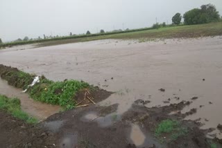 Heavy rainfall nashik