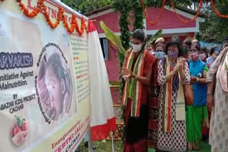 DC Cachar Kirti Jalli Inaugurated The Parwaris Project 