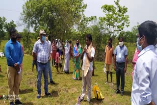 Three mango gardening schemes started in Jamshedpur