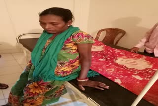 Poisonous snake bite woman in Chaibasa