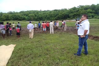 Gariaband district Chhattisgarh Elephant's death in Dhamtari Elephant calf found dead forests of Dhamtari சத்தீஸ்கர் காட்டு யானை உயிரிழப்பு