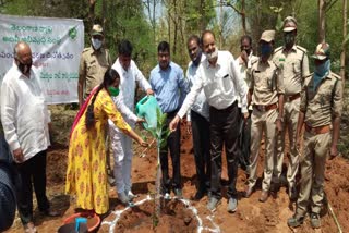  FDC Chairman Vanderu Pratap Reddy on world environment day