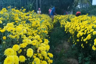 Tumkuru flower growers suffereing from curfew 