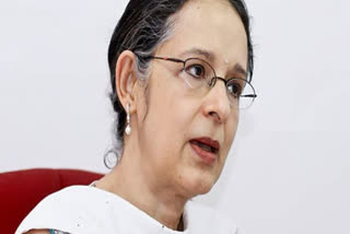India's economy will do well once vaccination reaches critical mass, says Ashima Goyal Ashima Goyal Indian economy status of Indian economy impact of covid on indian economy Indian economy recovery vaccination and Indian economy economist ashima goyal കൊവിഡ് വാക്സിനേഷന്‍ നിര്‍ണായക ഘട്ടത്തിലെത്തിയാല്‍ രാജ്യത്തിന്‍റെ സമ്പദ് വ്യവസ്ഥ മെച്ചപ്പെടുമെന്ന് അഷിമ ഗോയൽ കൊവിഡ് വാക്സിനേഷന്‍ സമ്പദ് വ്യവസ്ഥ അഷിമ ഗോയൽ