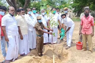 கருணாநிதி பிறந்தநாளில் மரக்கன்றுகள் நடுவதை தொடங்கி வைத்த காஞ்சிபுரம் எம்எல்ஏ