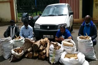  Arrest of four sandalwood thieves