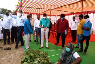 Vegetable festival solapur