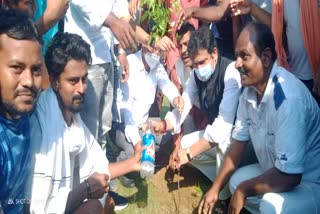 Tree planting program