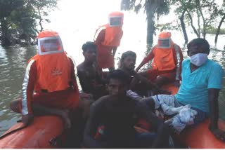 NDRF Rescuers