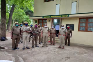 Two Peacock Rescued In Ambur