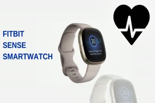 fitbit sense smartwatch