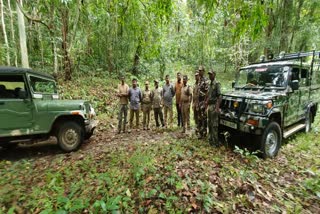 Coimbatore forest department